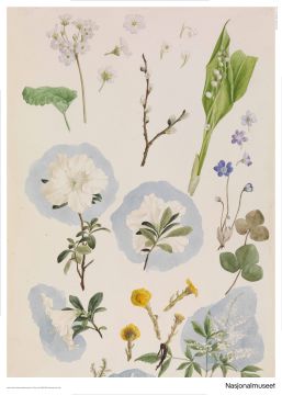 Plakat 50 x 70 cm, Annette W. Schirmer, «Blomsterstudie»