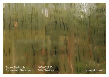 UTSTILLINGSPLAKAT DAMP WINDOW ES