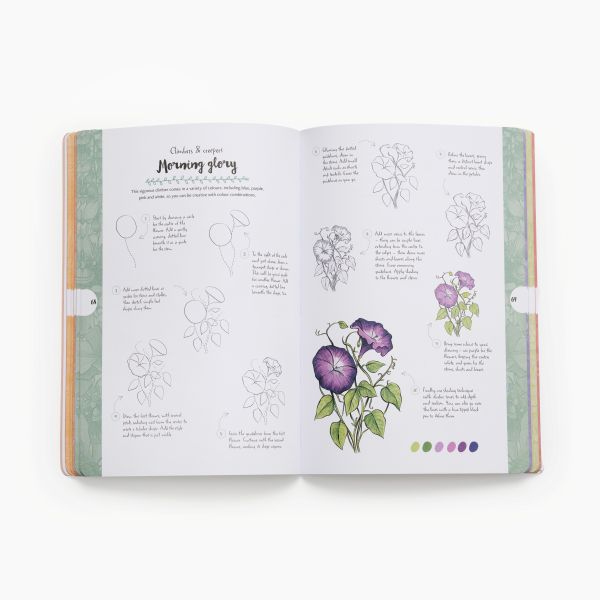 10 Step Drawing. Botanicals