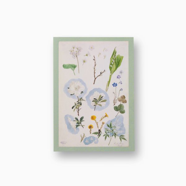 Postkort. Annette Wiese Schirmer, «Blomsterstudie»