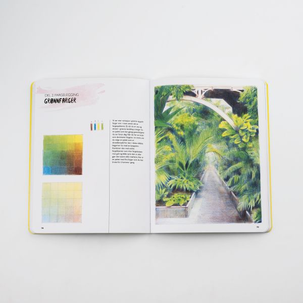 Denne boken vil lære deg å tegne med fargeblyanter!