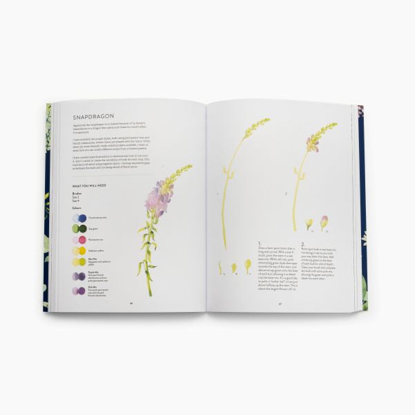 Harriet de Winton. «New Botanical Painting»