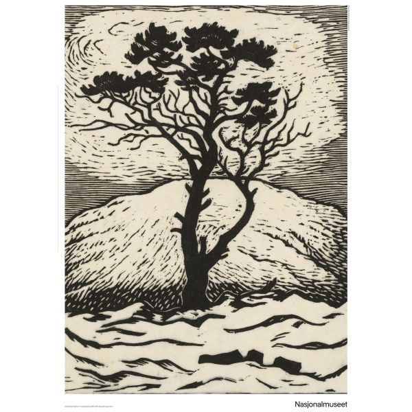 Plakat 50 x 70 cm. John Savio, «enslig furu»
