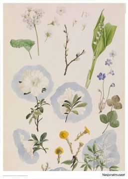 Plakat 50 x 70 cm, Annette W. Schirmer, «Blomsterstudie»