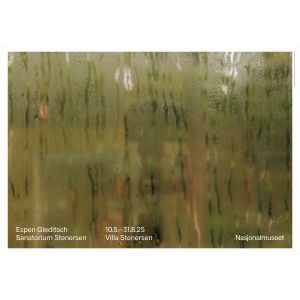 UTSTILLINGSPLAKAT DAMP WINDOW ES