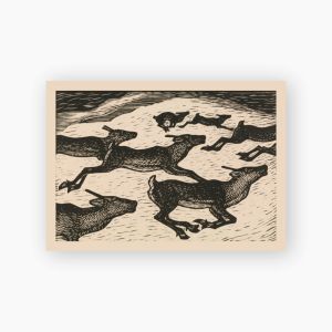 Postcard. John Savio, "Reindeer Calves II"
