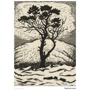 Plakat 50 x 70 cm. John Savio, «enslig furu»